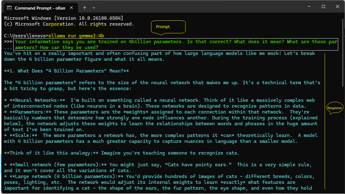 Prompting a Model using Ollama CLI